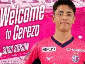 九游中国-大阪樱花遭遇墨尔本胜利，备受期待的胜者将是谁？的简单介绍